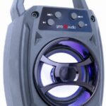 Portable Bluetooth speaker SPK-BT-14 5W, FM, USB, SD, 3,5mm, LED black