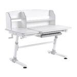 Evolution - Kids Desk Grey