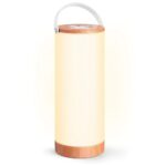 TaoTronics LED Lampion